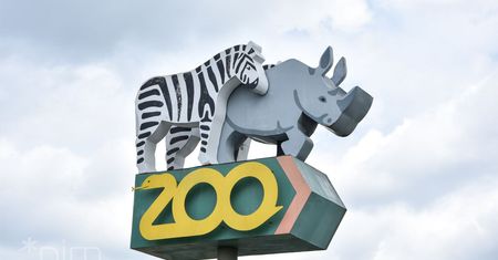 Zoo Poznań w czasie ferii – atrakcje online i stacjonarnie