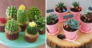 Choć wyglądają jak prawdziwe sukulenty w rzeczywistości nimi nie są. Skrywają słodką tajemnicę