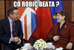 Memy po referendum w Wielkiej Brytanii