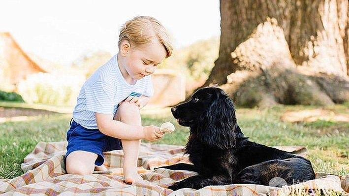 Kontrowersyjne zdjęcie księcia George'a