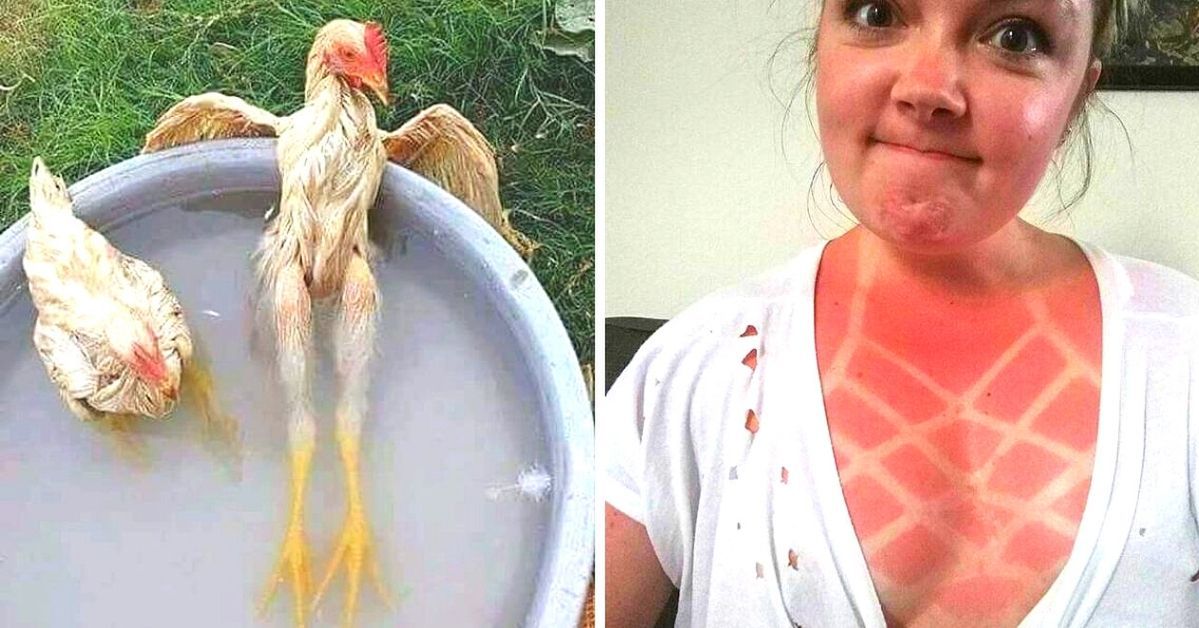 21 Photos That Can Be Taken Only during a Very Hot Summer