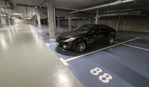 Pralka legalnie w kuchni. Nowe przepisy czekają na podpis ministra