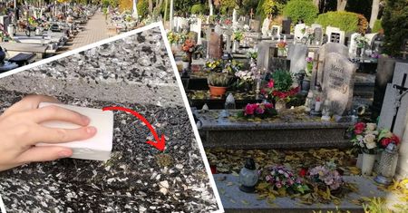 Kiedy kończę mycie, dolewam kapkę do wody. Pomnik błyszczy jak złoto!