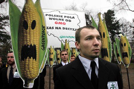 GMO – puszka Pandory czy rozpędzony pociąg?