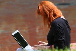 Plusy i minusy samozatrudnienia