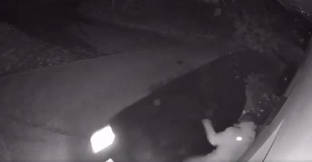 Policjanci z Mosiny zatrzymali mężczyznę podejrzanego o próbę zabójstwa pięciu osób  w Pewnie.
