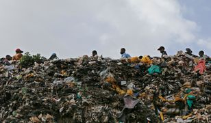 Kara więzienia lub wysoka grzywna za plastikowe torebki. Kenia wprowadza zakaz