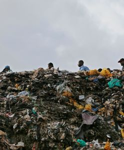 Kara więzienia lub wysoka grzywna za plastikowe torebki. Kenia wprowadza zakaz