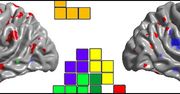 Tetris wpływa na mózg
