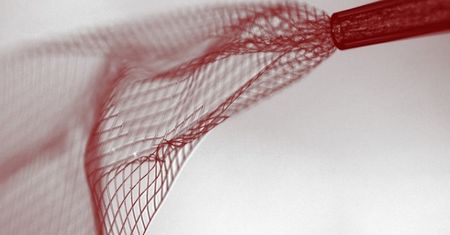 Mikroskopijna siatka da wgląd w funkcjonowanie mózgu