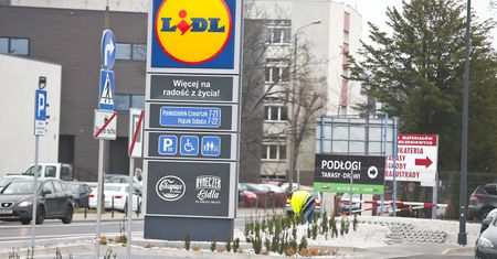 Lidl z promocją na torebki Wittchen