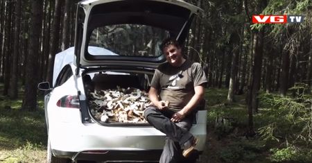 Ile grzybów zmieści się do Tesli? Ponad 200 kg