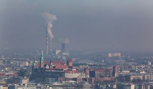 Smog Kraków - 12 grudnia