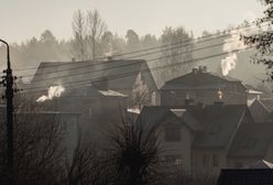 Polacy wciąż nie widzą problemu smogu. Połowa nie sprawdza jakości powietrza