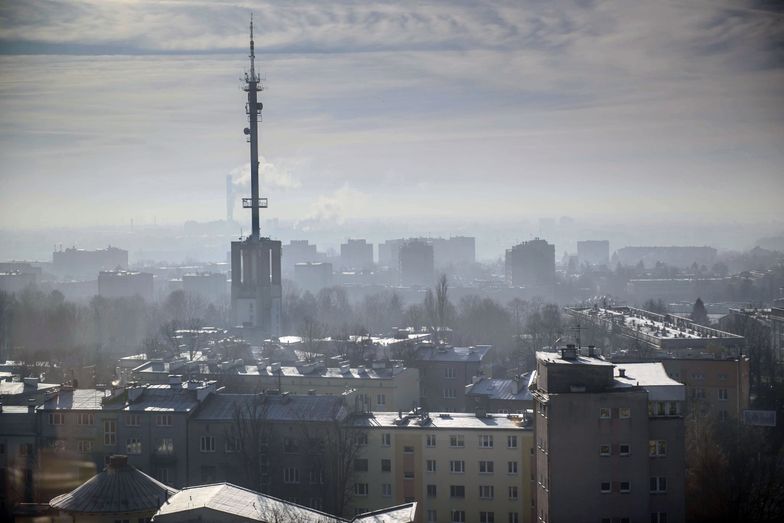 Eksperci uważają, że Polska przegrywa walkę ze smogiem