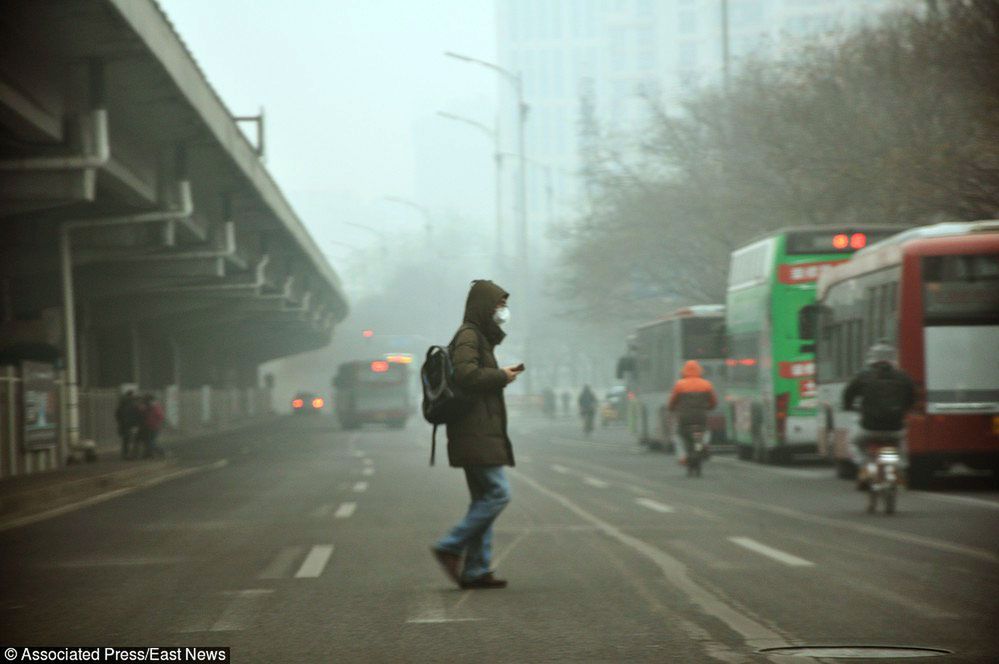 Jaka to pora? Pora na smog! Znowu zaczyna się sezon śmierdzącego powietrza