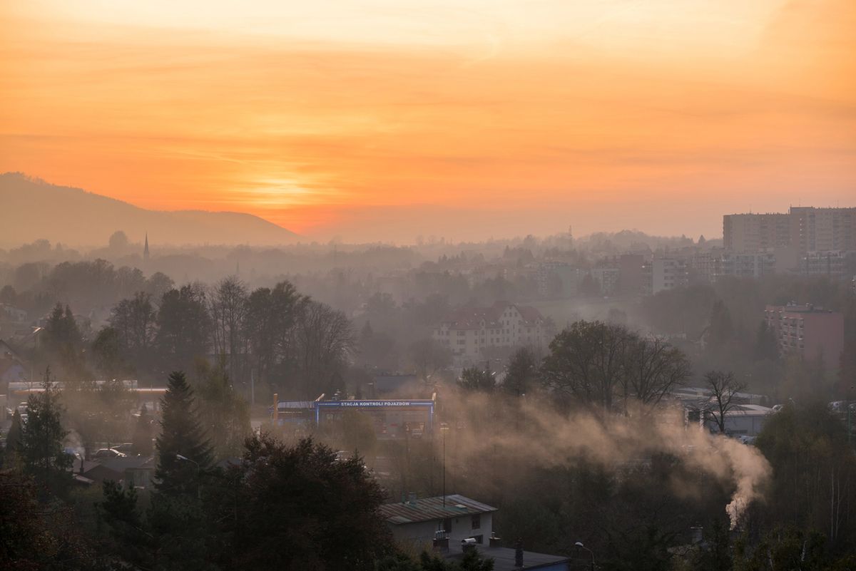 Smog Kraków i Katowice 29 listopada. Sprawdź jakość powietrza