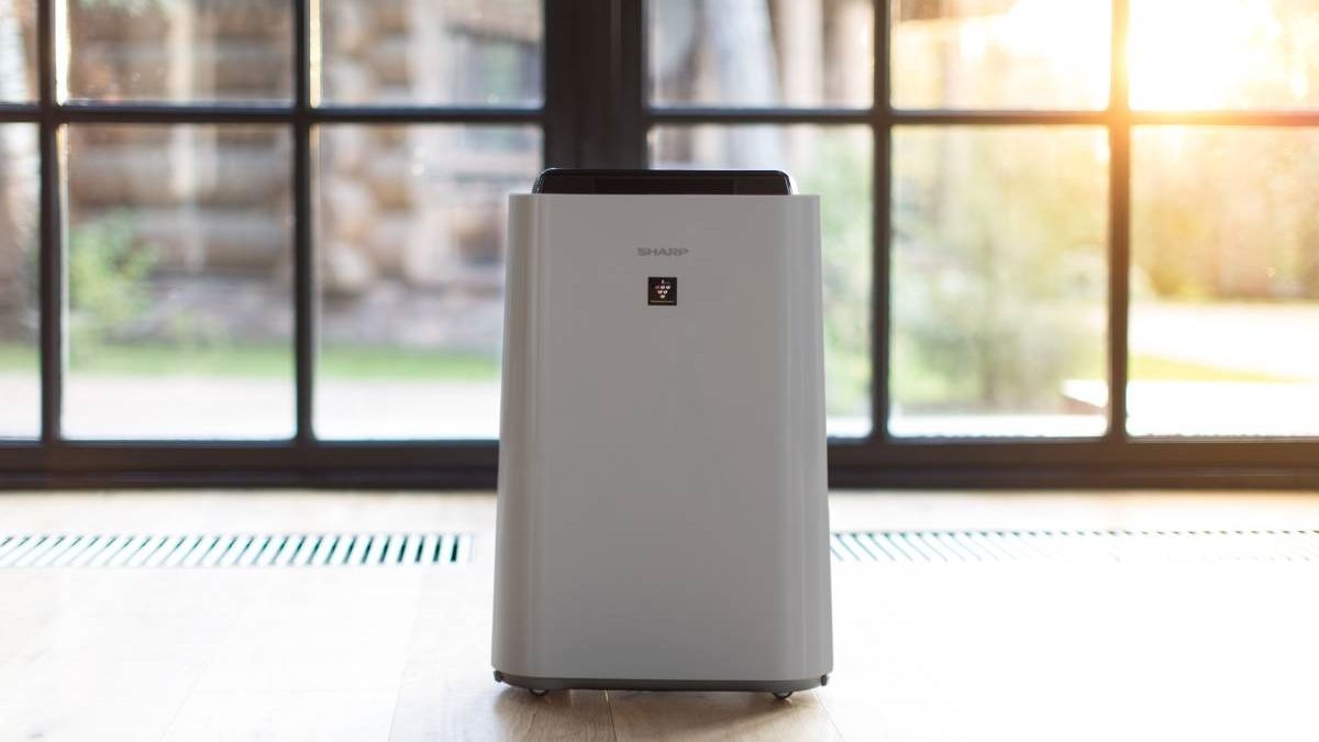 Jaki oczyszczacz powietrza do walki ze smogiem, pleśnią i grzybami sprawdzi się najlepiej?