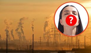 Smog powraca. Zamiast maski włóż filtr do nosa