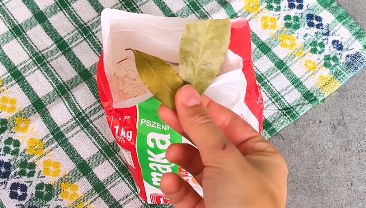 Pantry moth invasion: How a simple homemade method with bay leaves could save your kitchen