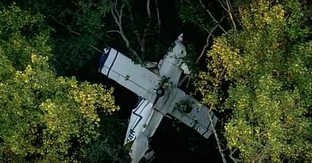 Samolot rozbił się na drzewie. Pasażerowie uwięzieni 15 metrów nad ziemią. [WIDEO]