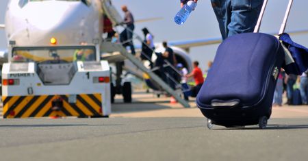 Na lotnisku Chopina zaginął kot. Leciał w luku bagażowym