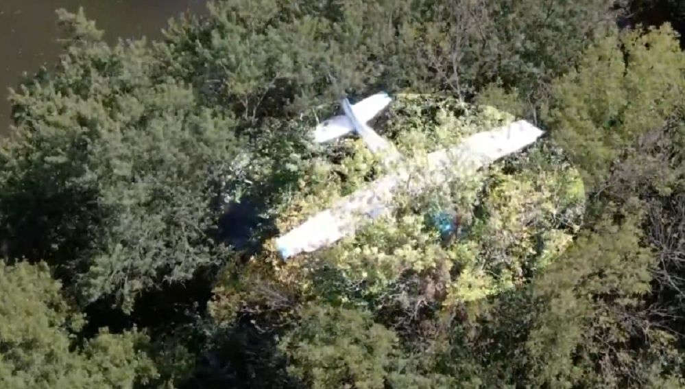 Samolot rozbił się na drzewie. Pilot uwięziony ponad 20 metrów nad ziemią [WIDEO]