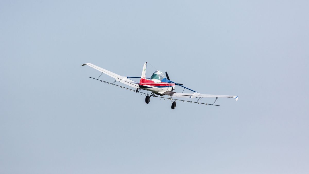 2,7 mln zł kary będzie musiało zapłacić 6 przedsiębiorców, którzy świadczyli usługi lotniczego zrzutu szczepionek dla lisów. 