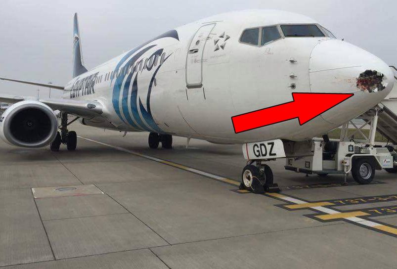 Samolot zderzył się z ptakiem podczas lądowania