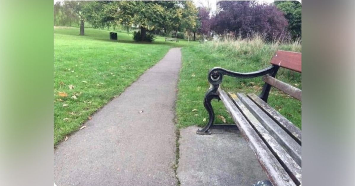 W parku ukrywa się uroczy mops, którego nie tak szybko będziesz w stanie znaleźć