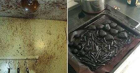 Kuchenne katastrofy. W głowie się nie mieści