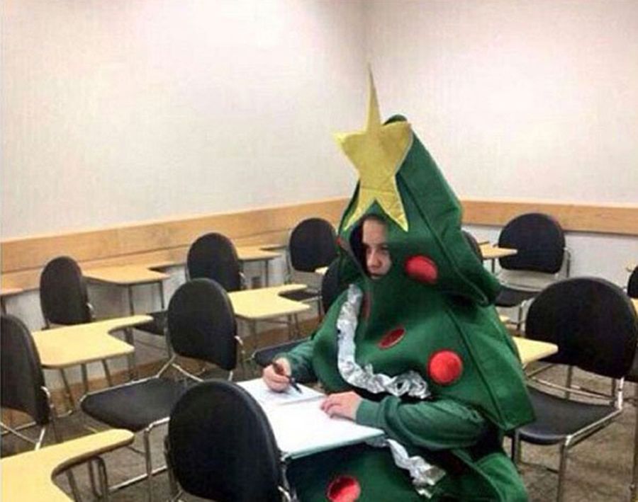 Przesadzili w święta