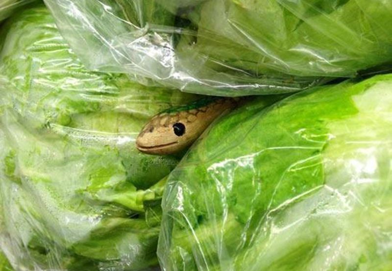 Chcesz komuś zrobić dobry kawał? Te rady ci się przydadzą