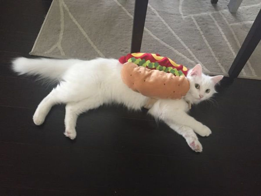 Hot-dog