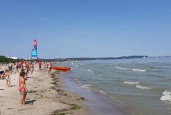 Pogoda. Temperatura wody w Bałtyku coraz wyższa. Taka sytuacja sprzyja rozwojowi sinic