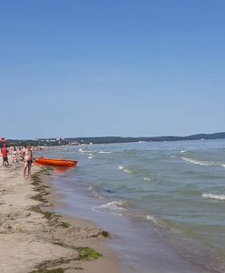 Pogoda. Temperatura wody w Bałtyku coraz wyższa. Taka sytuacja sprzyja rozwojowi sinic