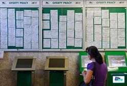 Urząd pracy zaskoczył internautę. Zaproponowali mu pracę w Uberze