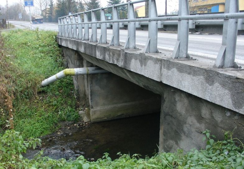 Obecne mosty w miejscowości Klecza Dolna są w złym stanie technicznym.