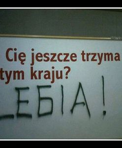 Absurdy naszej rzeczywistości