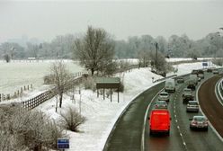 Styczeń w Polsce był ciepły i wilgotny