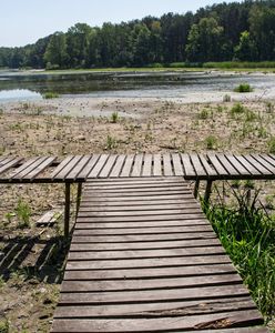 Przytłaczająca większość badanych Polaków widzi zmiany klimatyczne [BADANIE]