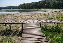 Przytłaczająca większość badanych Polaków widzi zmiany klimatyczne [BADANIE]