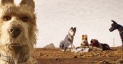 Najlepsze filmy o psach 2018