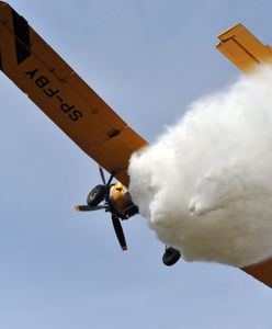 Świecie: ogromny pożar lasu. Rok temu przeszła tam trąba powietrzna