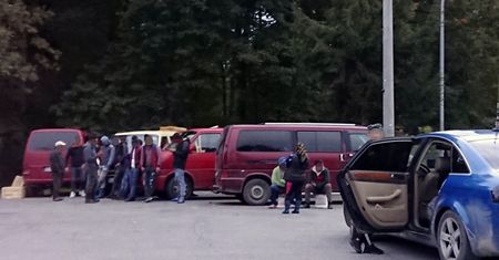 "Mafia rumuńskich grzybiarzy" sieje postrach w lasach pod Kielcami. Mają polować na koszyki z borowikami