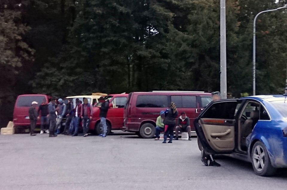 Grzybiarze z Rumunii na jednym z parkingów niedaleko Kielc. Nasi grzybiarze nazywają ich mafią.