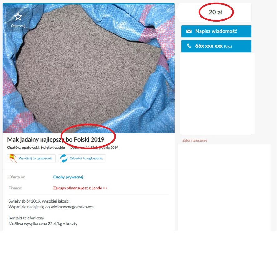 Obraz