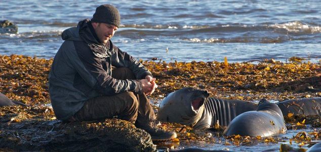 Znany poszukiwacz przygód i zoolog, Dave Salmoni zdradził kulisy swojej pracy