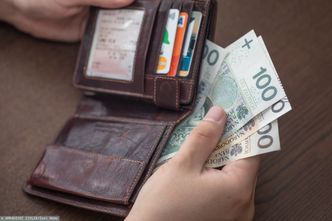 Płaca minimalna. Szaleńcze tempo wzrostu, ekonomiści ostrzegają