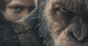 "Wojna o planetę małp": drugi fragment i nowa data premiery [TYLKO U NAS]
